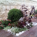 <p>садовый дизайн в Израиле 972-546496492</p>